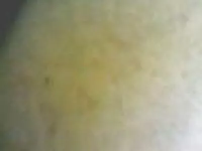 浸泡在丝袜视频（泰勒尼克松，塔拉林恩福克斯）