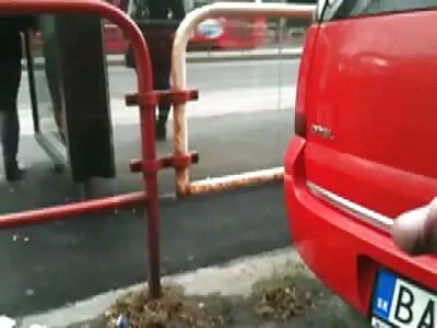 暨在这个肥猫！视频（布鲁克林蔡斯）