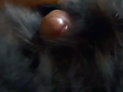 Surprise Invasion video (Keiran Lee, Apolonia Lapiedra)