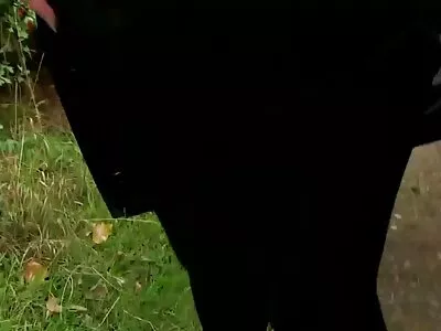 更多款待视频（梅根·斯威特）